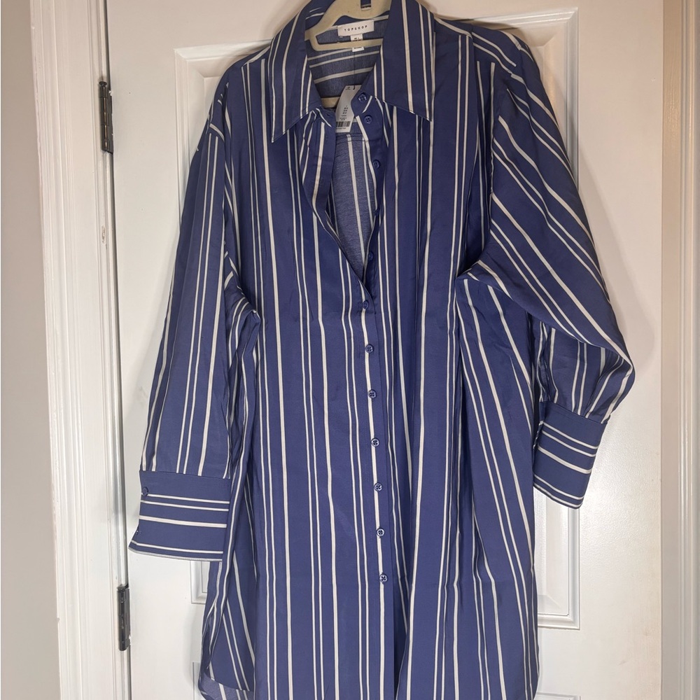 Topshop Blue and White Striped Button-Up Shirt Dress